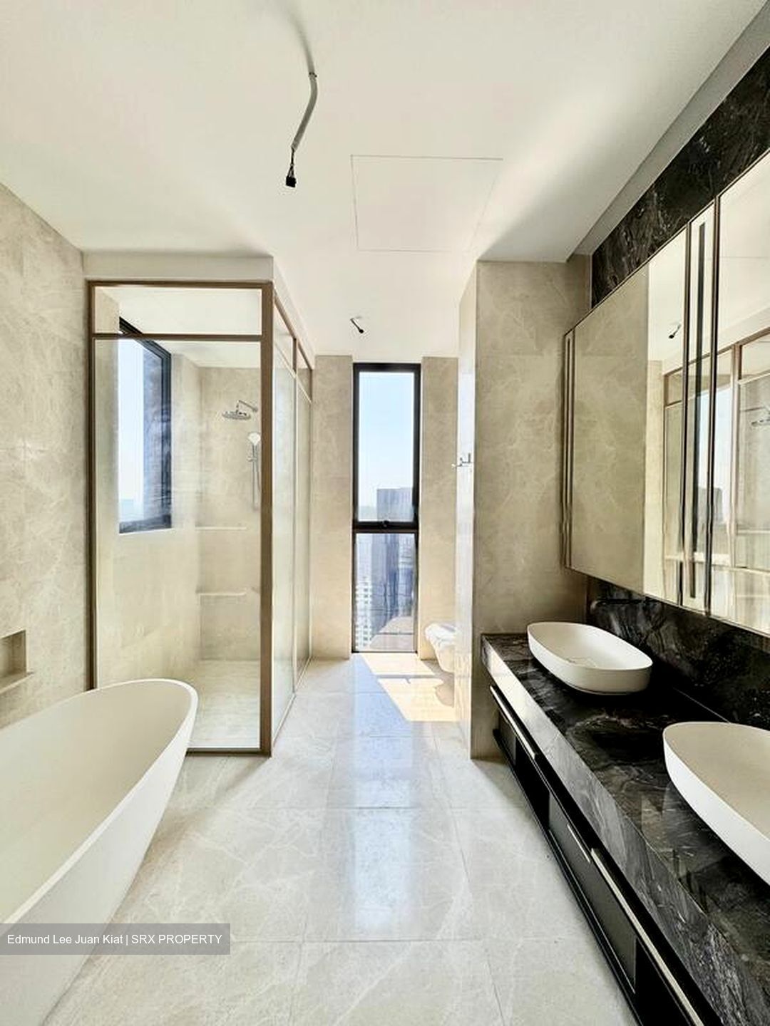 The Avenir (D9), Condominium #554595641
